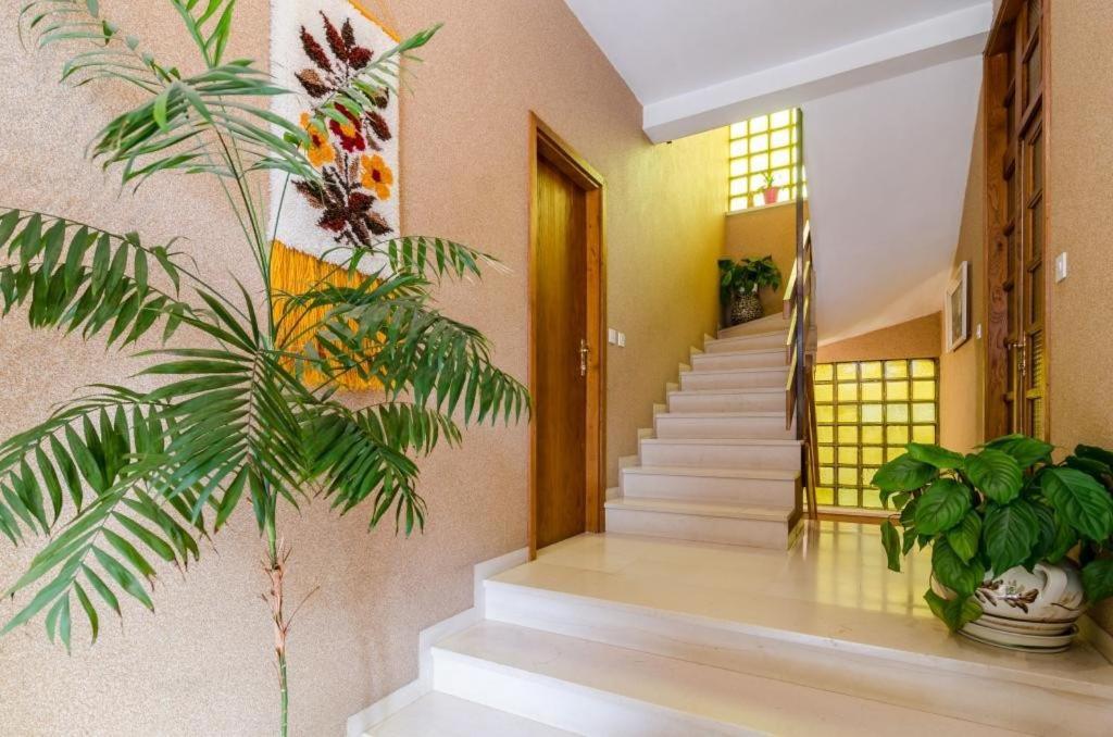 Apartments Villa Ivka Dubrovnik Luaran gambar